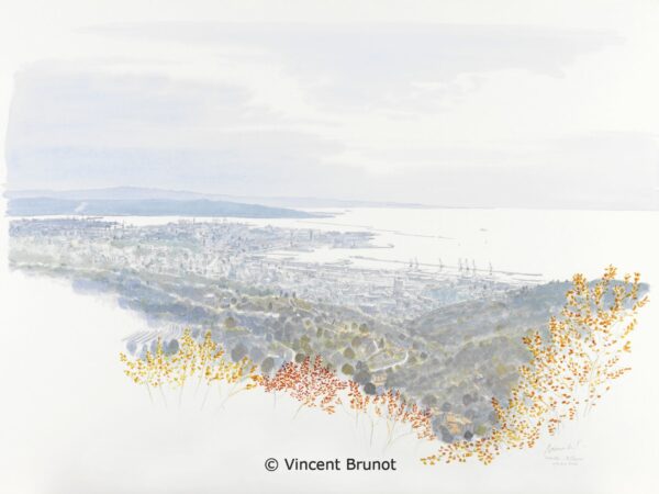 02VedutadiTriestedalcarso