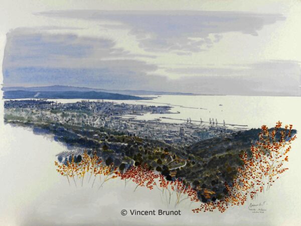 02VedutadiTriestedalcarso1