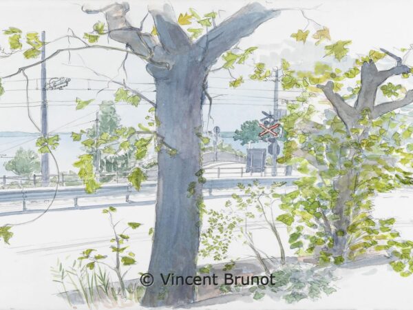 04IltramdiOpicinaallObelisco