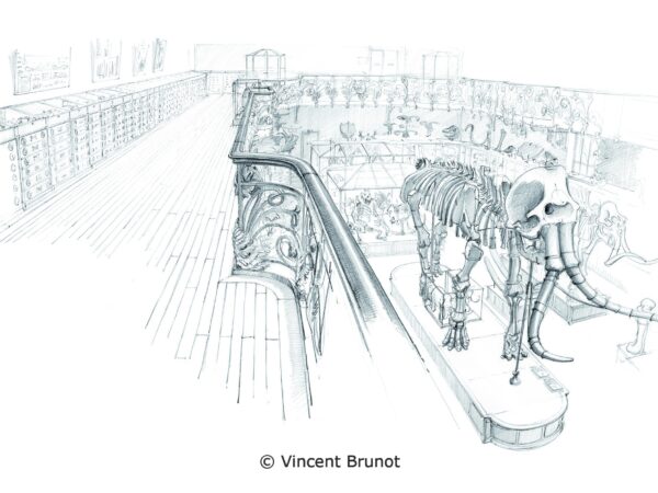 01 galerie de paléontologiesigne