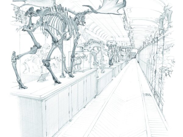 05 galerie de paléontologiesigne