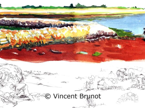 ecluseàpoissonaulargedesaintemarie