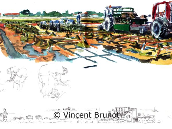 lesparcsahuitesalaflotte